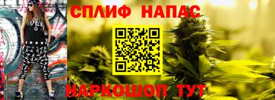 молекула духа Гусев