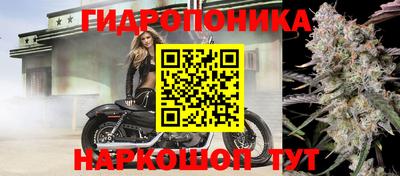 молекула духа Гусев