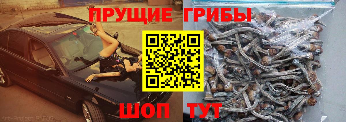 Псилоцибиновые грибы Magic Shrooms Истра